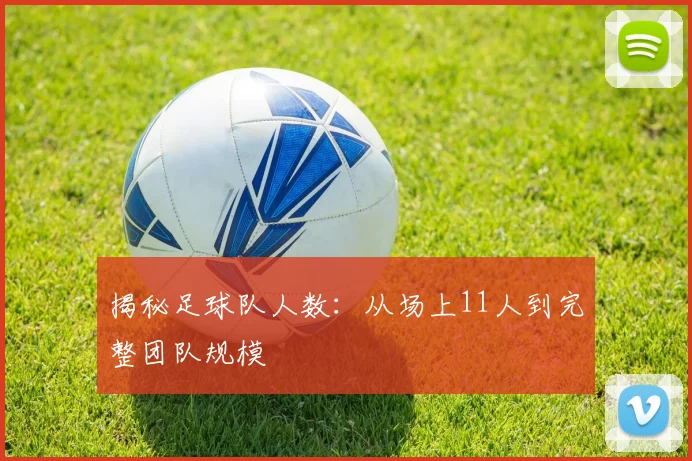 揭秘足球队人数：从场上11人到完整团队规模